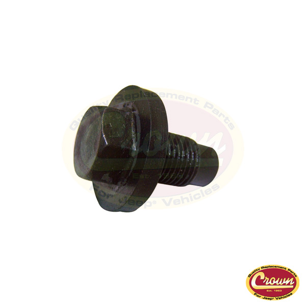 Oil Pan Plug (6034376)